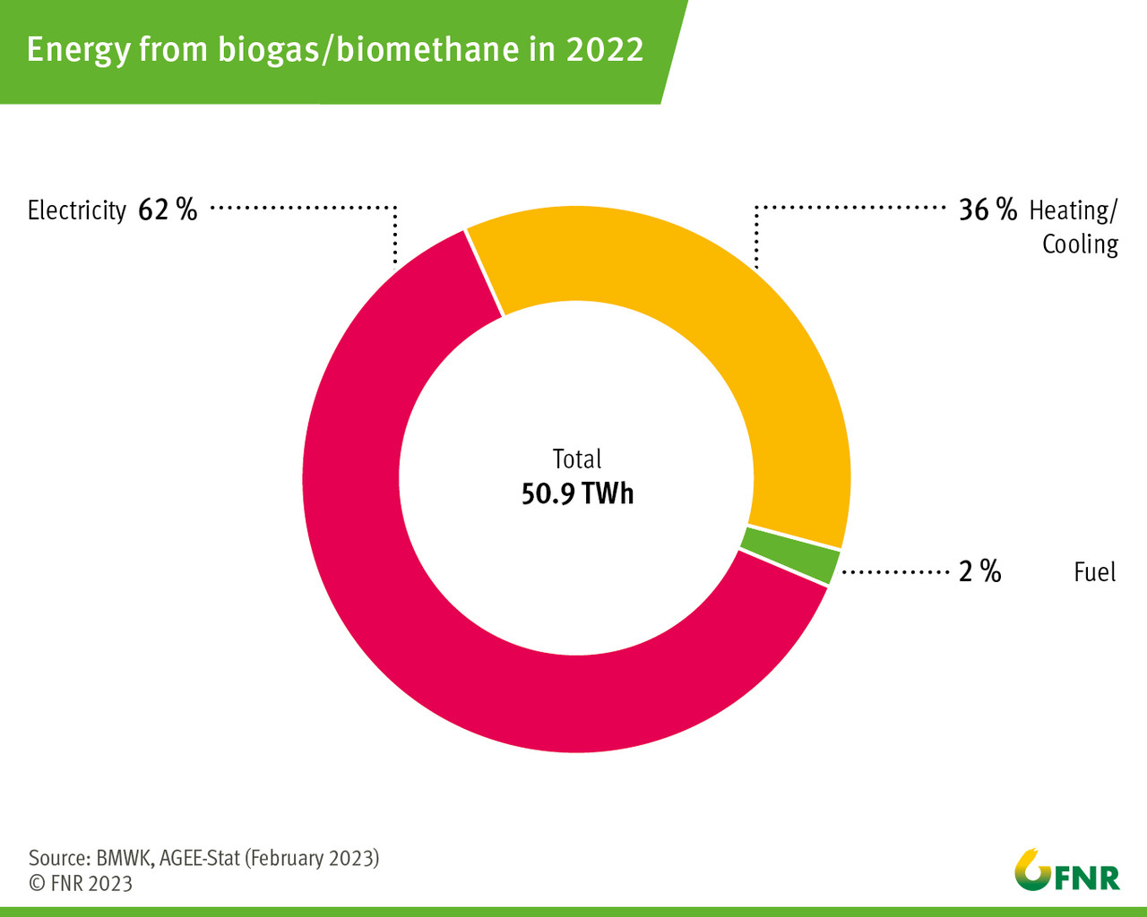 Energy from biogas/biomethane in 2022