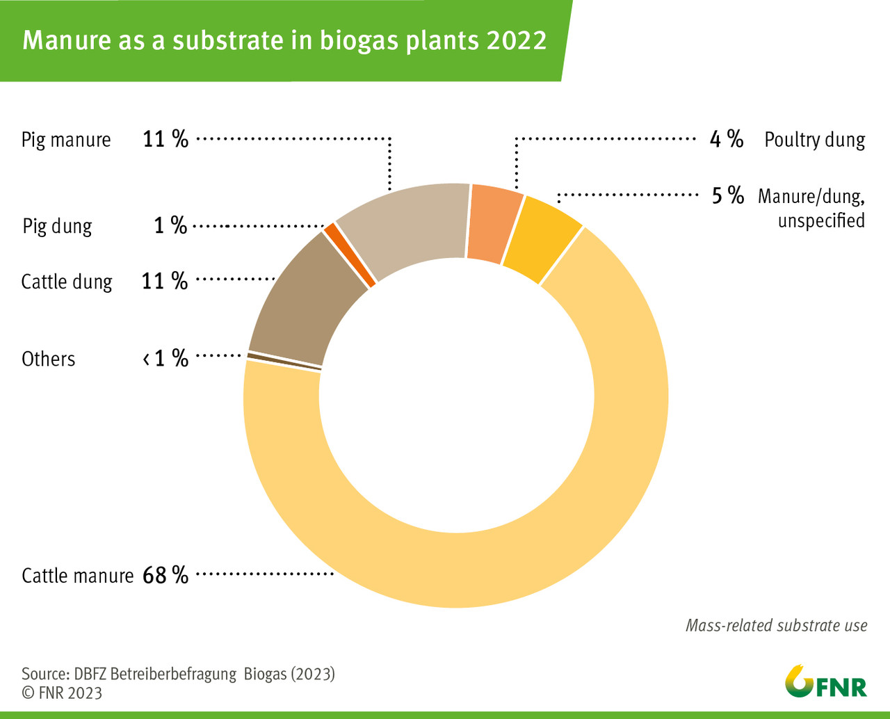 Manure as a substrate in biogas plants 2022