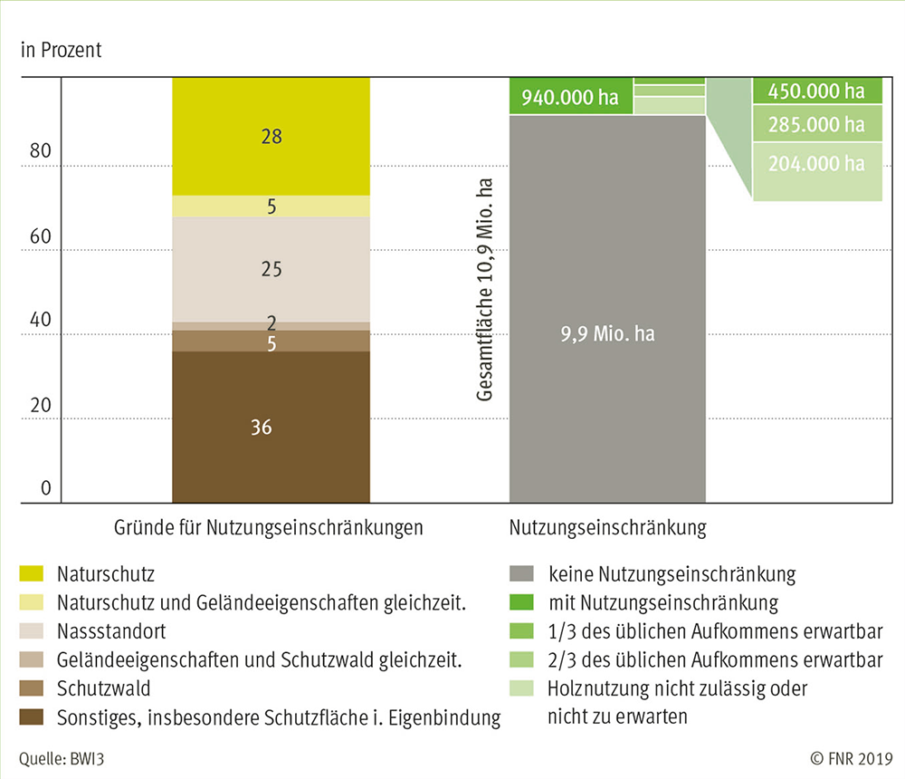 Restrictions of wood usage 2012