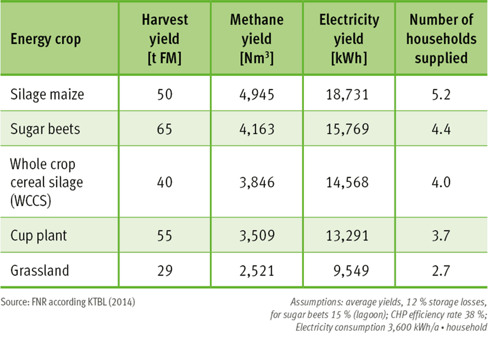 Theoretical electricity potential of different energy crops (in hectare)